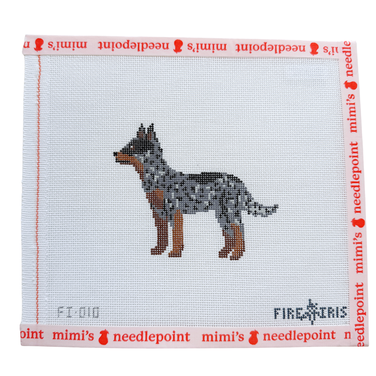 The Cali Cattle Dog Blue