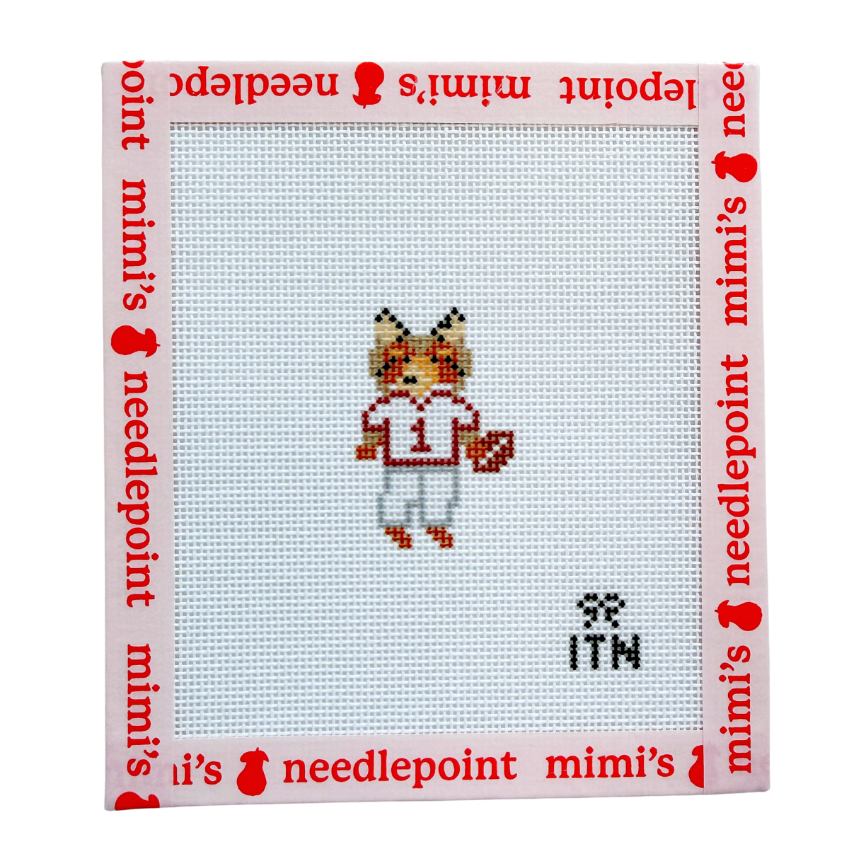 Football Friend Collie