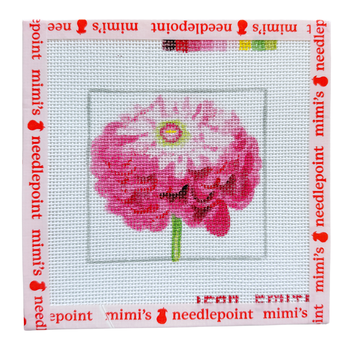 Pink Zinnia