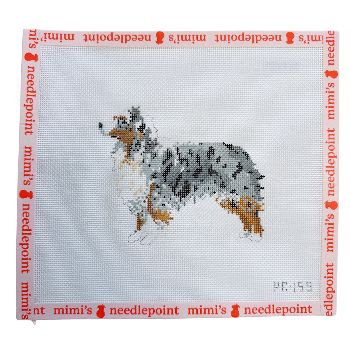 Australian Shepherd