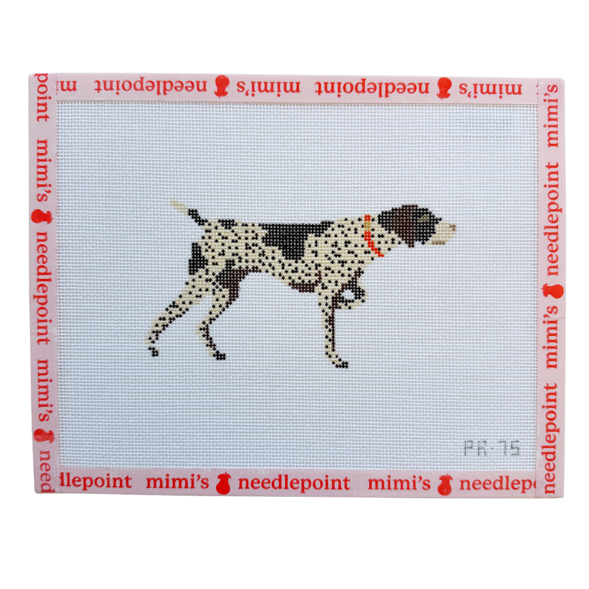 German Shorthaired Pointer