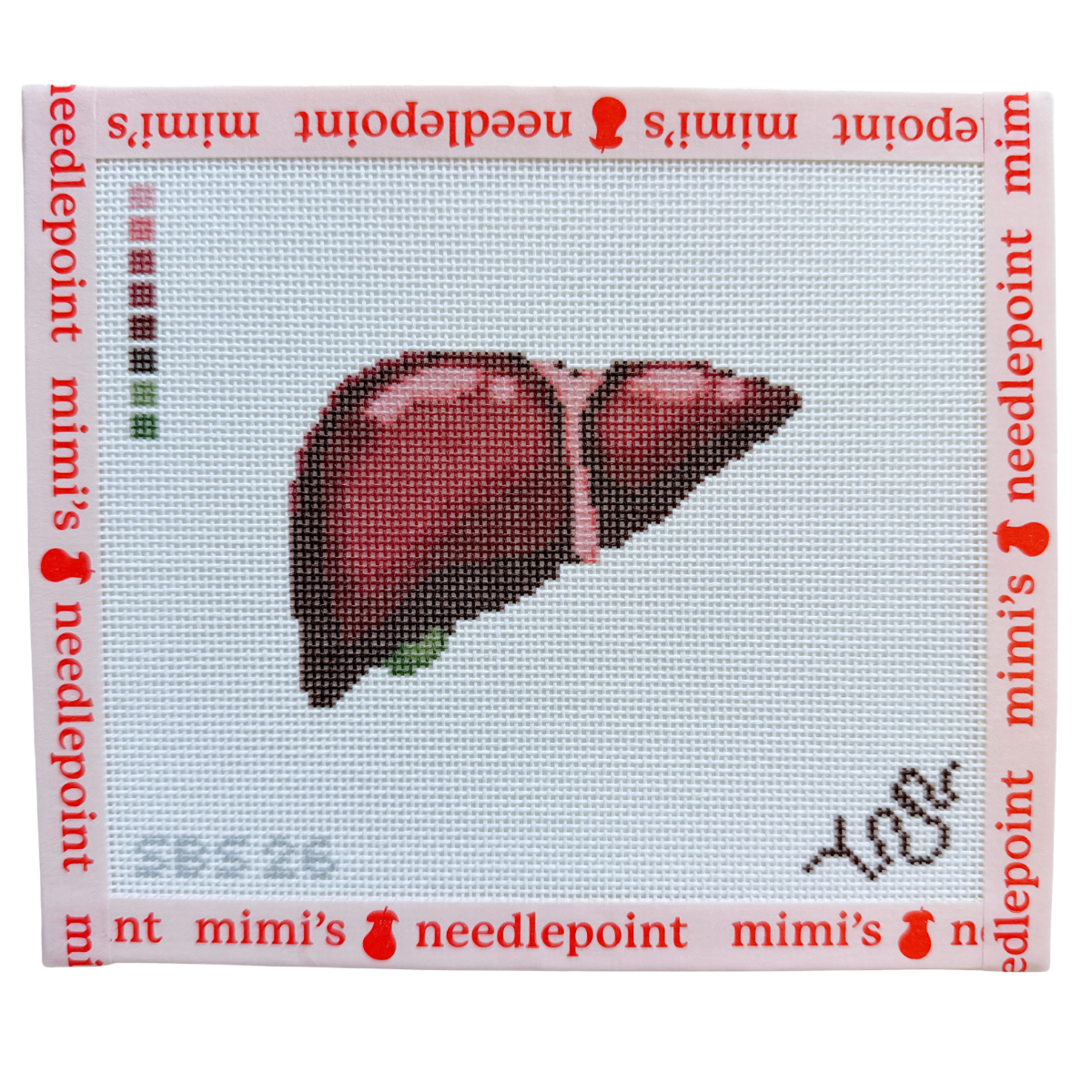 Anatomical Liver