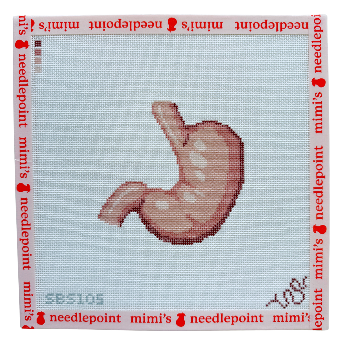 Anatomical Stomach