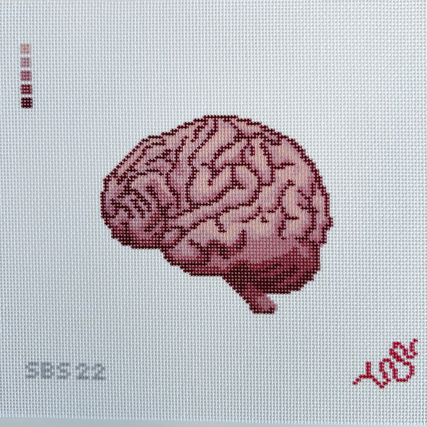 Anatomical Brain - Trunk Show