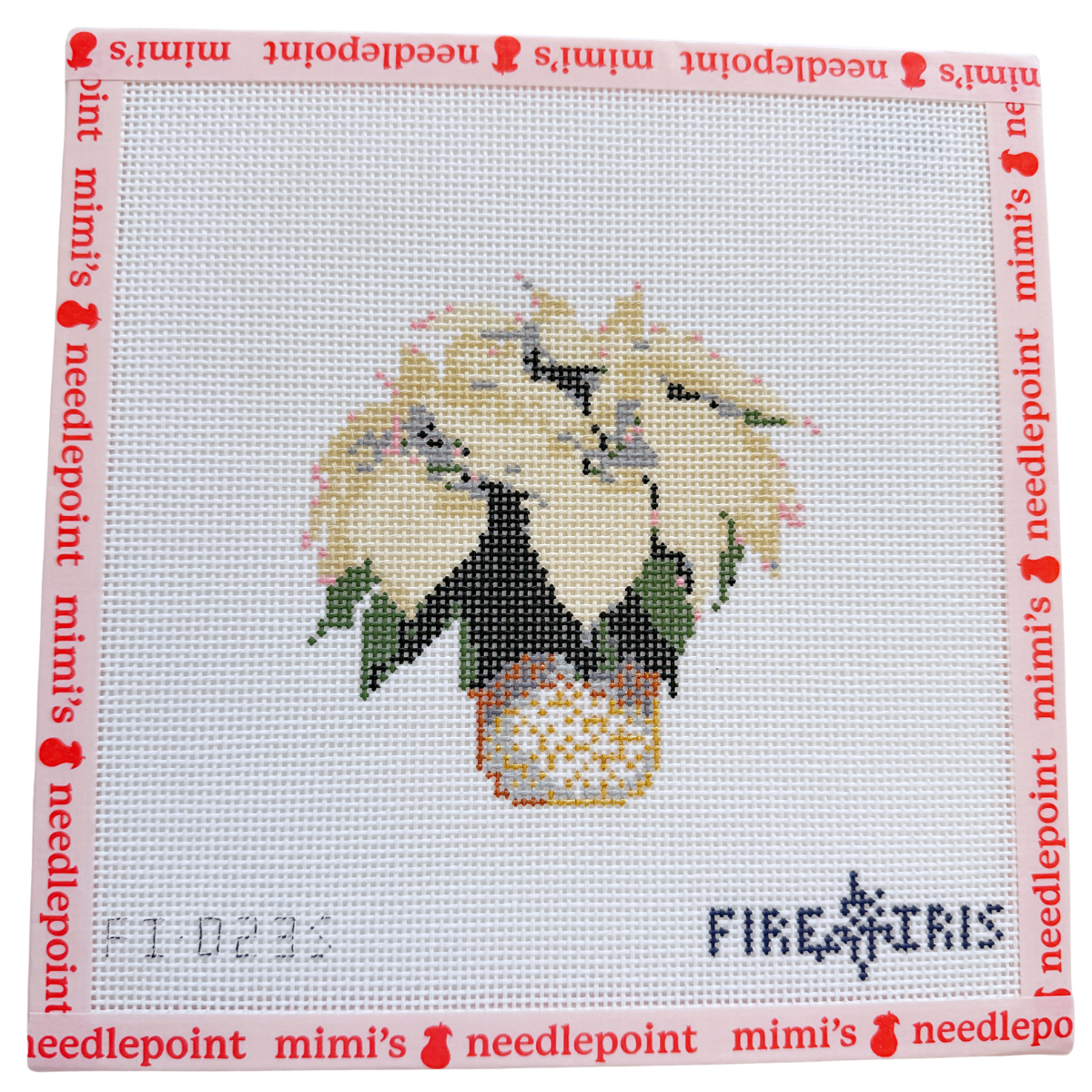 White Poinsettia