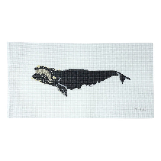 Atlantic Right Whale-Trunk Show