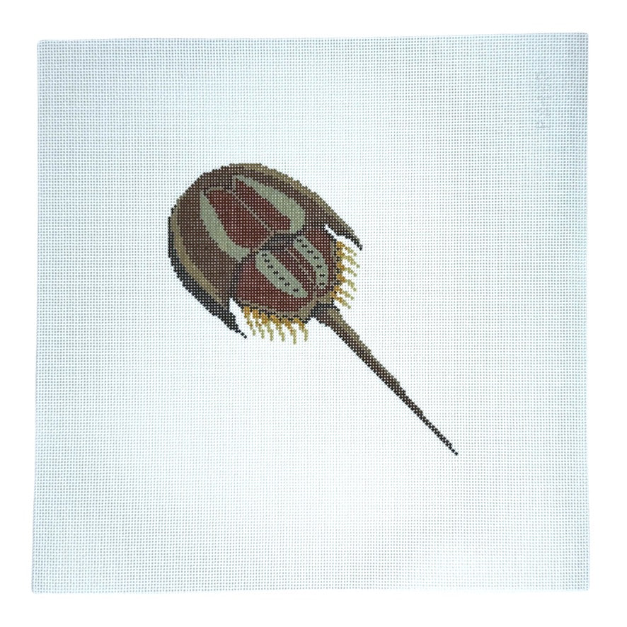 Horseshoe Crab-Trunk Show
