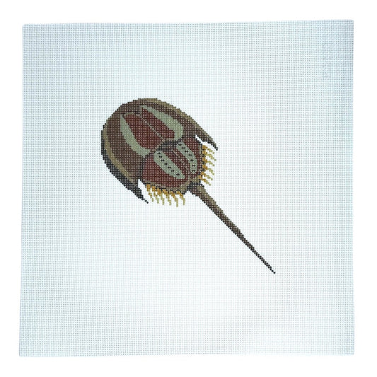 Horseshoe Crab-Trunk Show