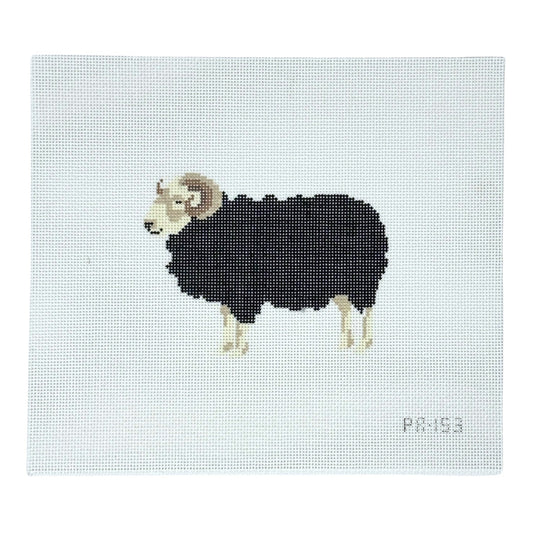 Herdwick Ram-Trunk Show