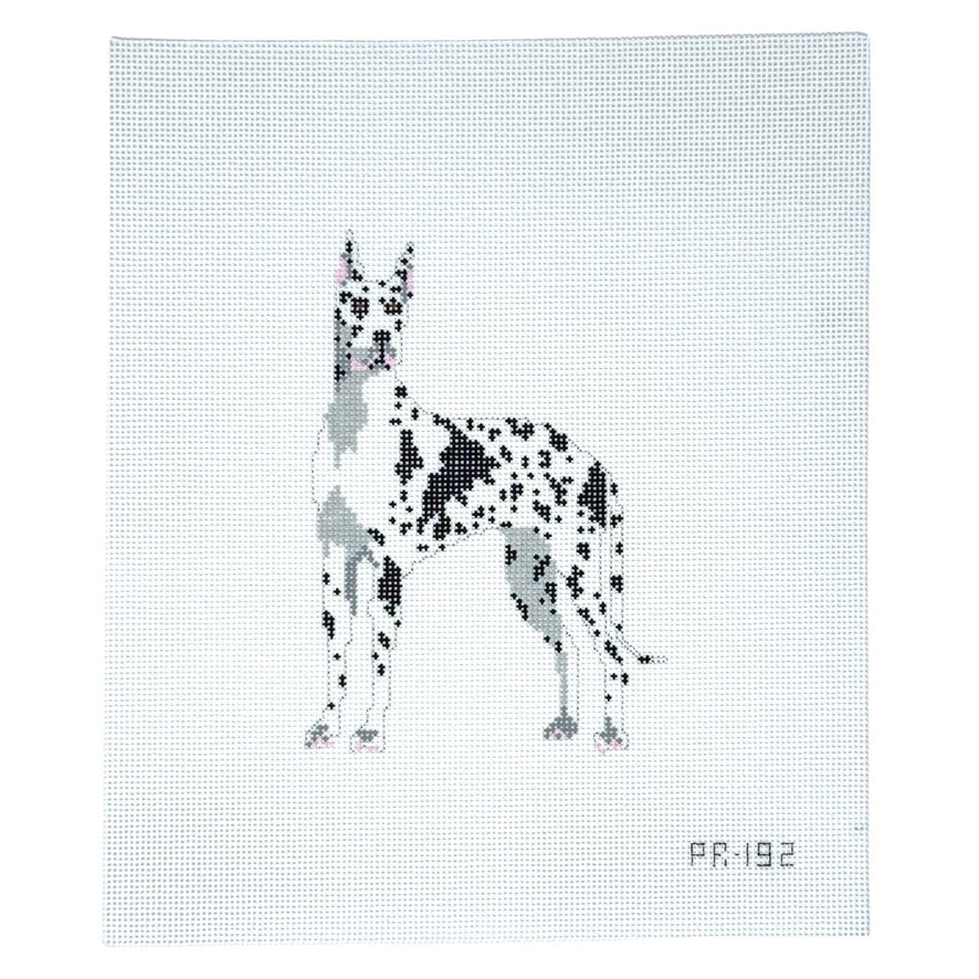 Harlequin Great Dane-Trunk Show