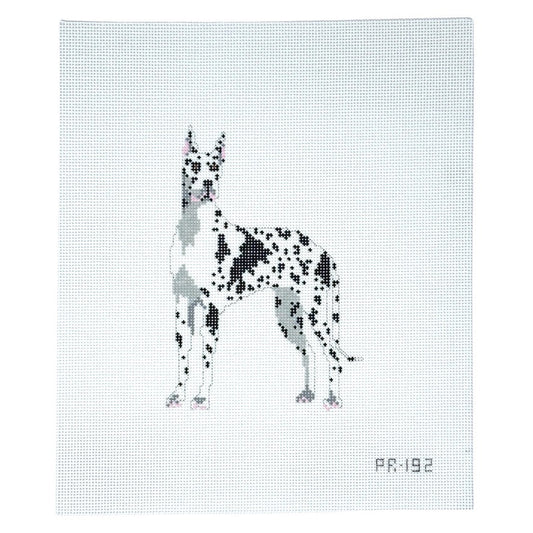 Harlequin Great Dane-Trunk Show