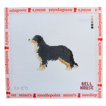 Bernese Mountain Dog