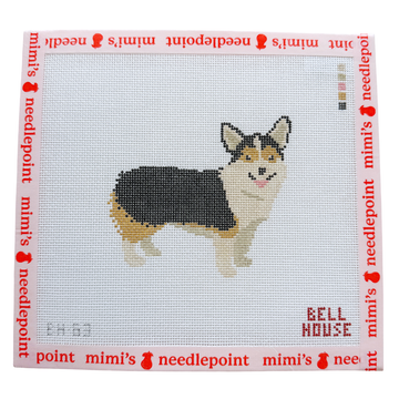 Corgi - Tricolor