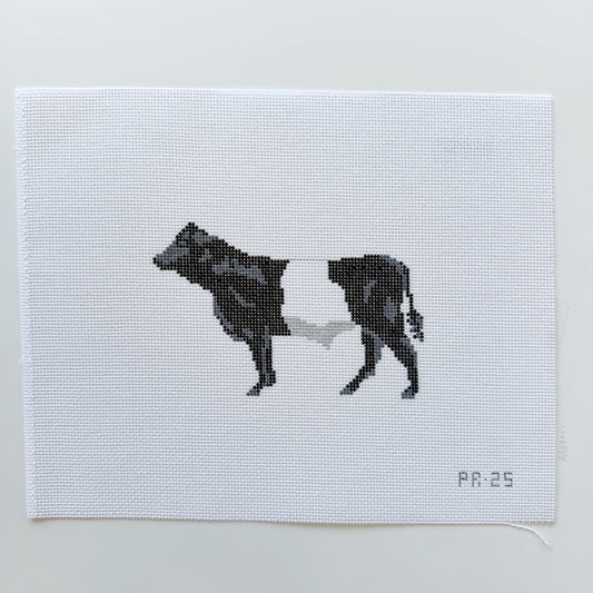 Belted Galloway-Trunk Show
