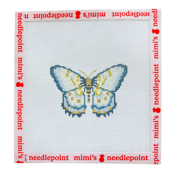 Blue and Yellow Butterfly