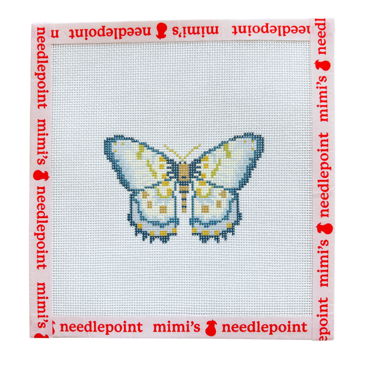 Blue and Yellow Butterfly