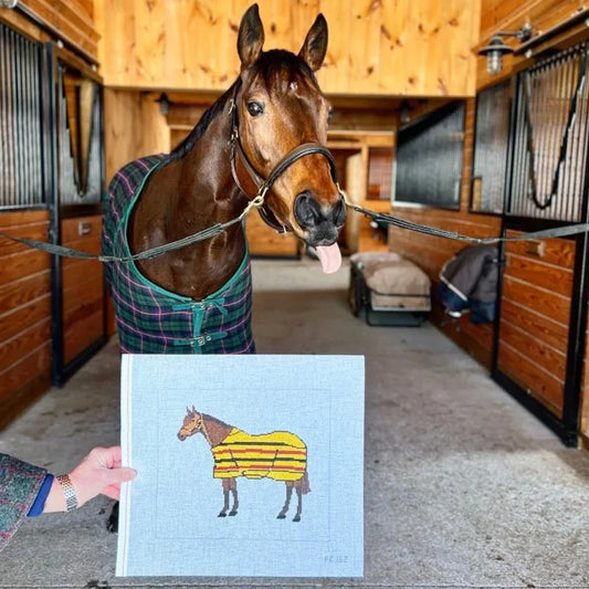 Brown Horse / Yellow Blanket-Trunk Show