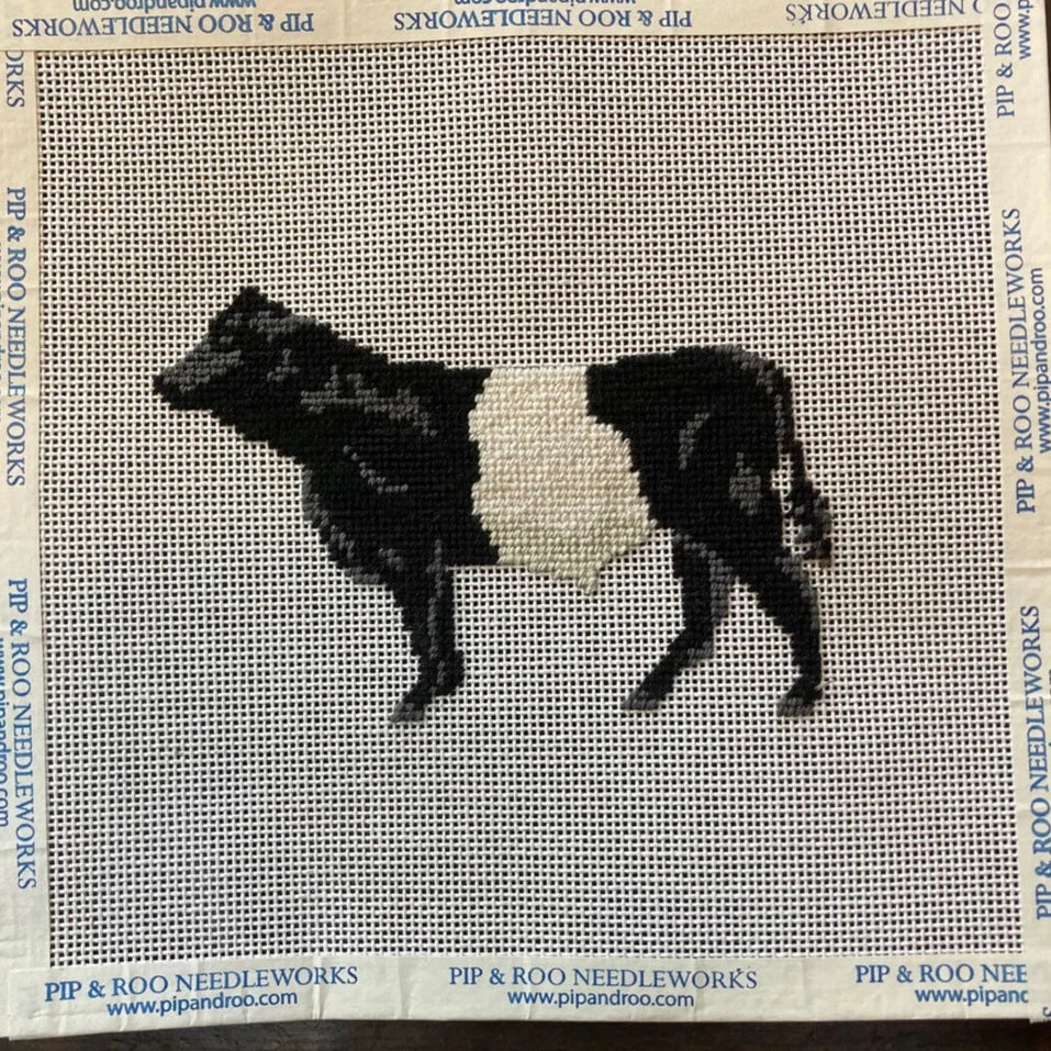 Belted Galloway-Trunk Show