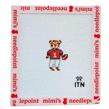 Football Friends SC Tiger
