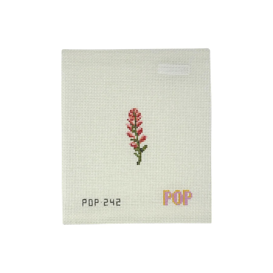 Mini Indian Paintbrush- Trunk Show