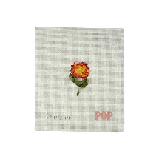 Mini Lantana- Trunk Show