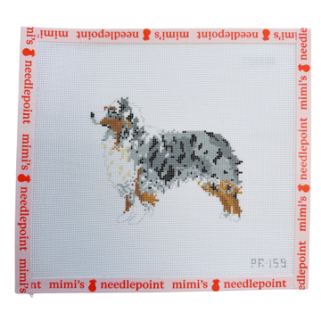 Australian Shepherd