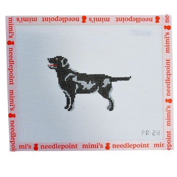 Quincy Black Labrador