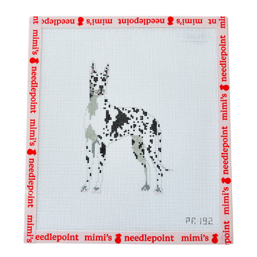 Harlequin Great Dane