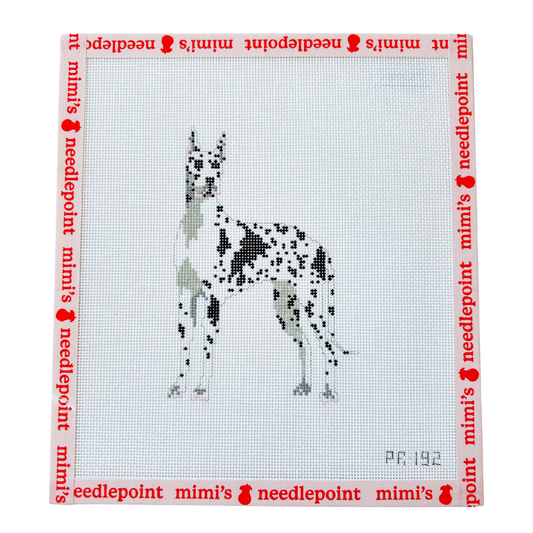 Harlequin Great Dane