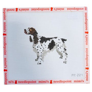 Springer Spaniel