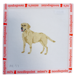 Yellow Lab
