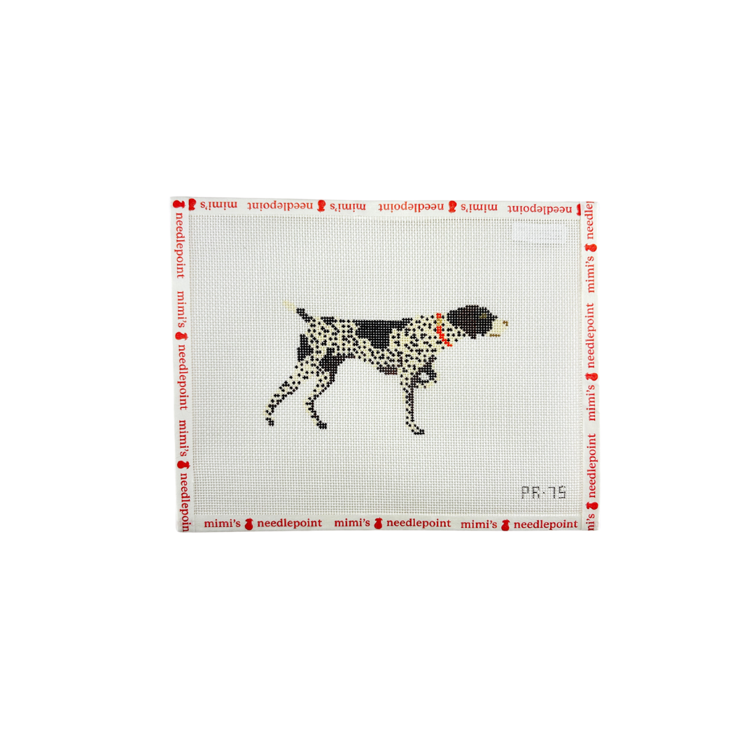 German Shorthaired Pointer