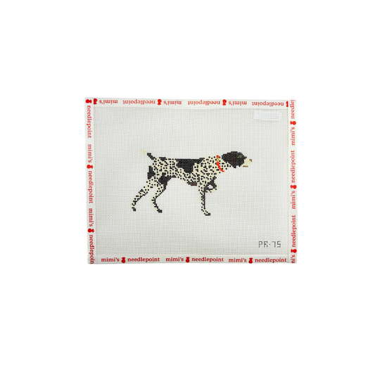 German Shorthaired Pointer