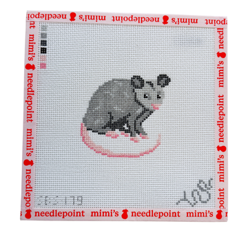 Baby Possum