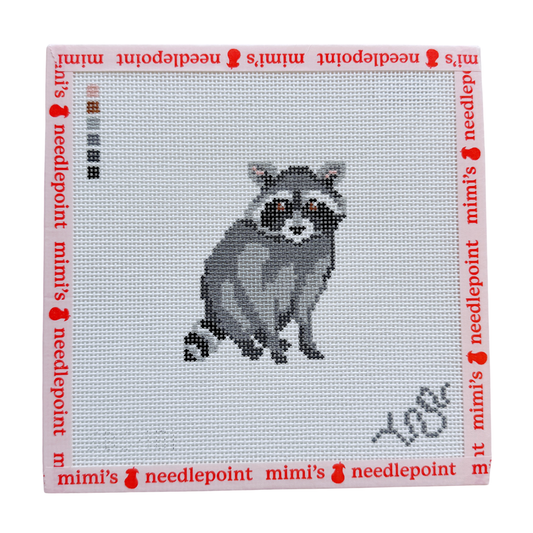 Baby Raccoon