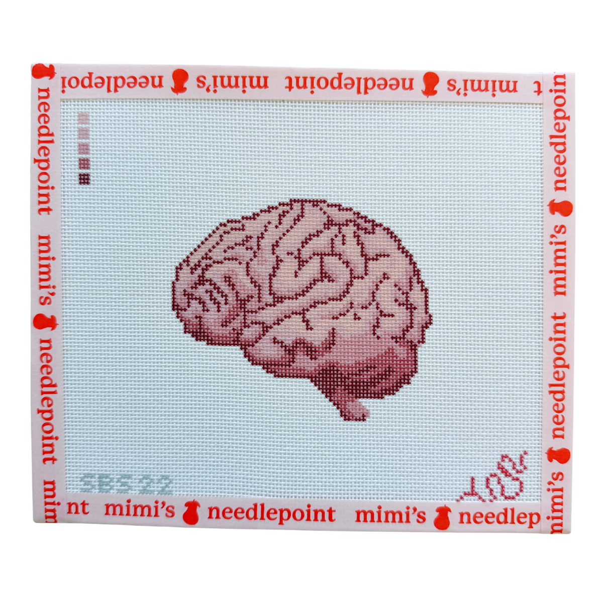 Anatomical Brain