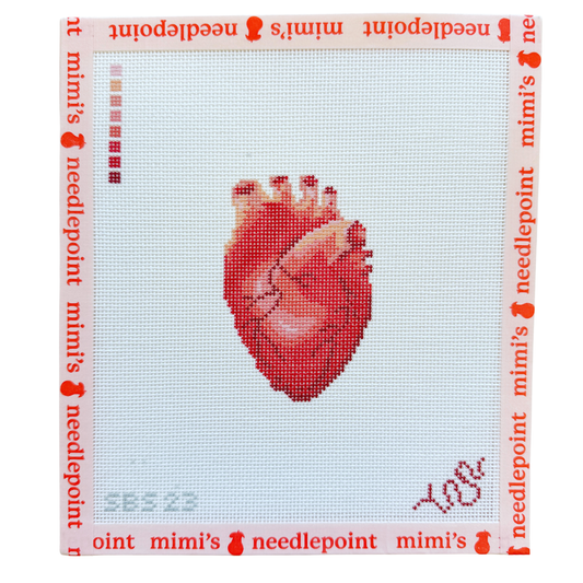Anatomical Heart
