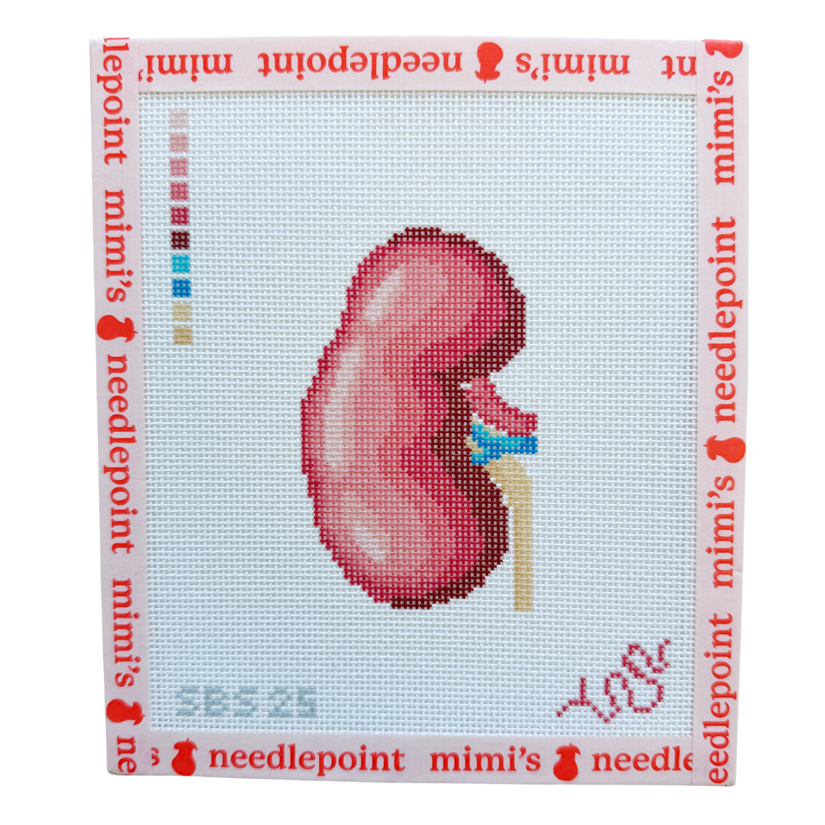 Anatomical Kidney