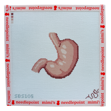 Anatomical Stomach