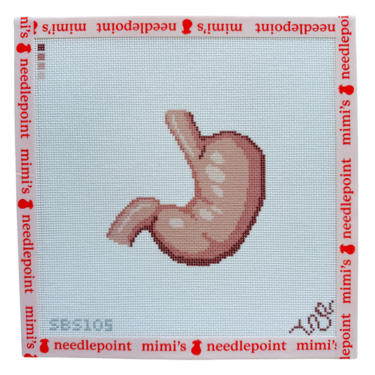 Anatomical Stomach