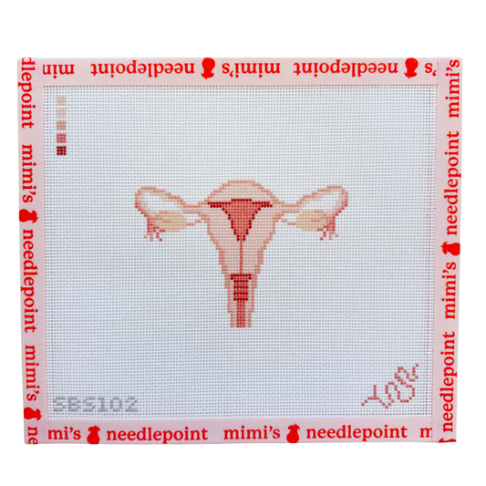 Uterus Cross Section