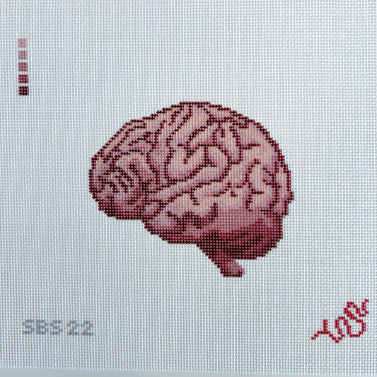 Anatomical Brain - Trunk Show