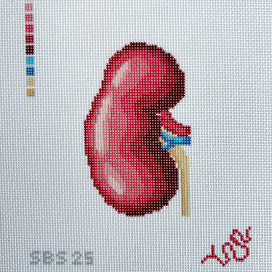 Anatomical Kidney- Trunk Show