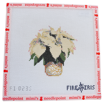 White Poinsettia