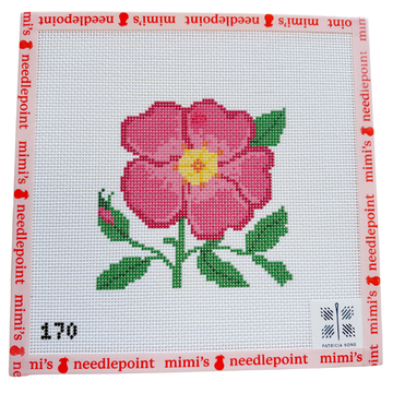 Wild Rose