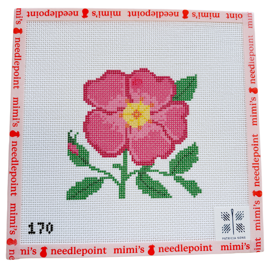 Wild Rose